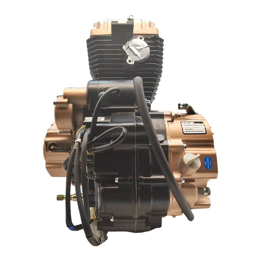 Zongshen CG200cc Single Cylind - Motorcycle Cylinder recension och pris