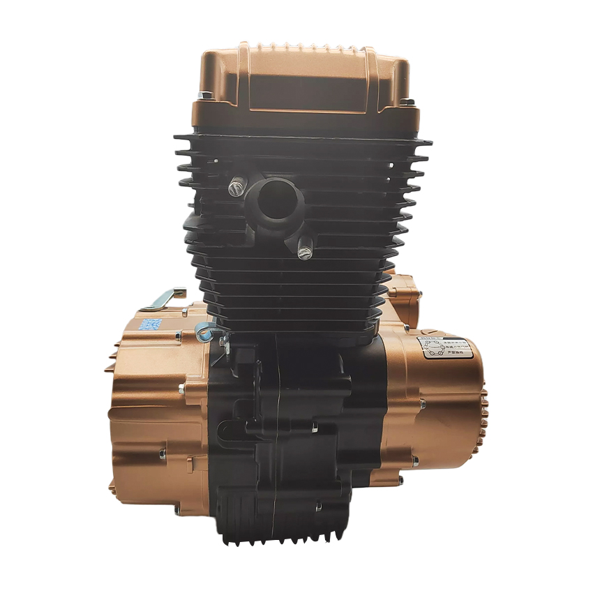 Zongshen CG200cc Single Cylind - Motorcycle Cylinder recension och pris